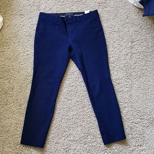 Banana Republic Factory Navy Ankle Pants